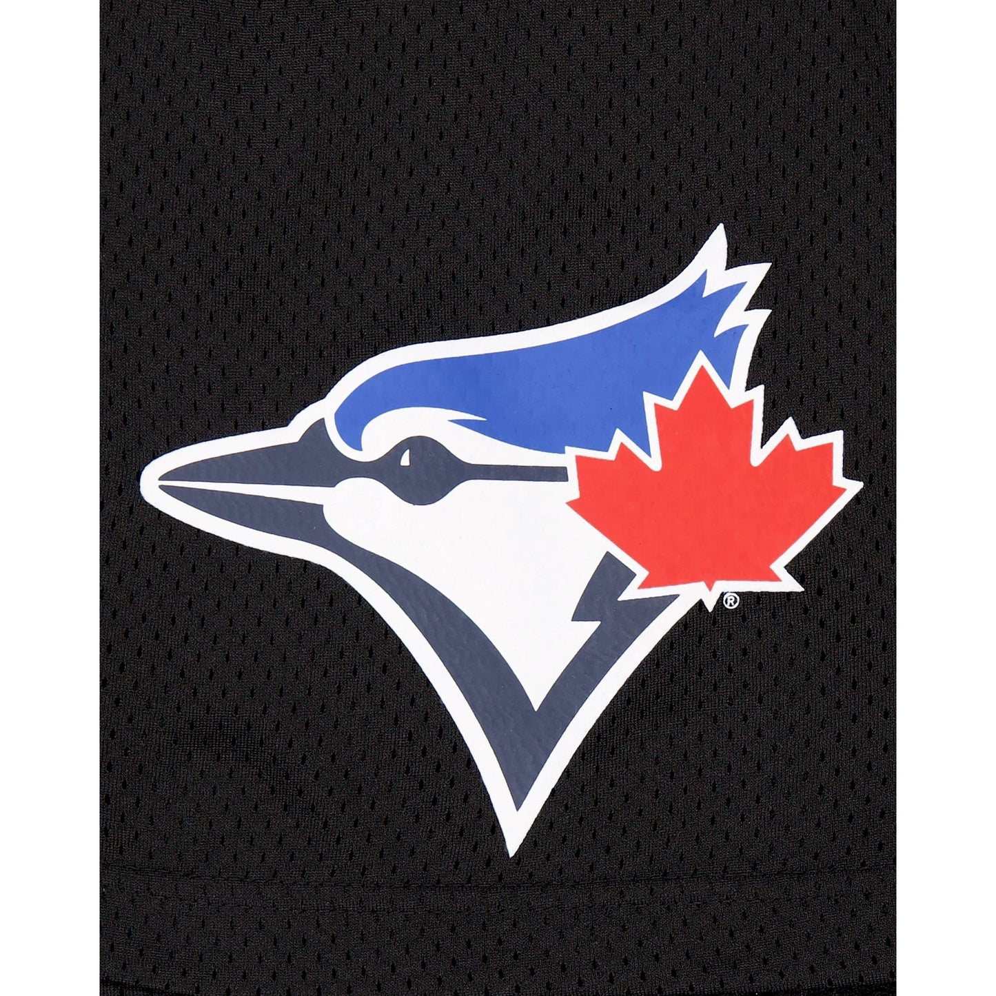 Toronto Blue Jays Mesh Shorts