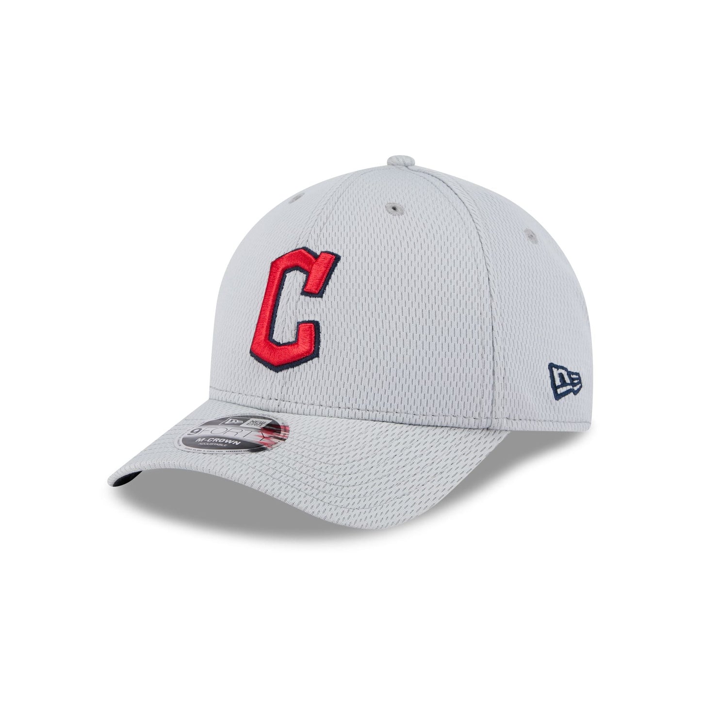 Cleveland Guardians 2025 Clubhouse Gray 9FORTY M-Crown Snapback Hat