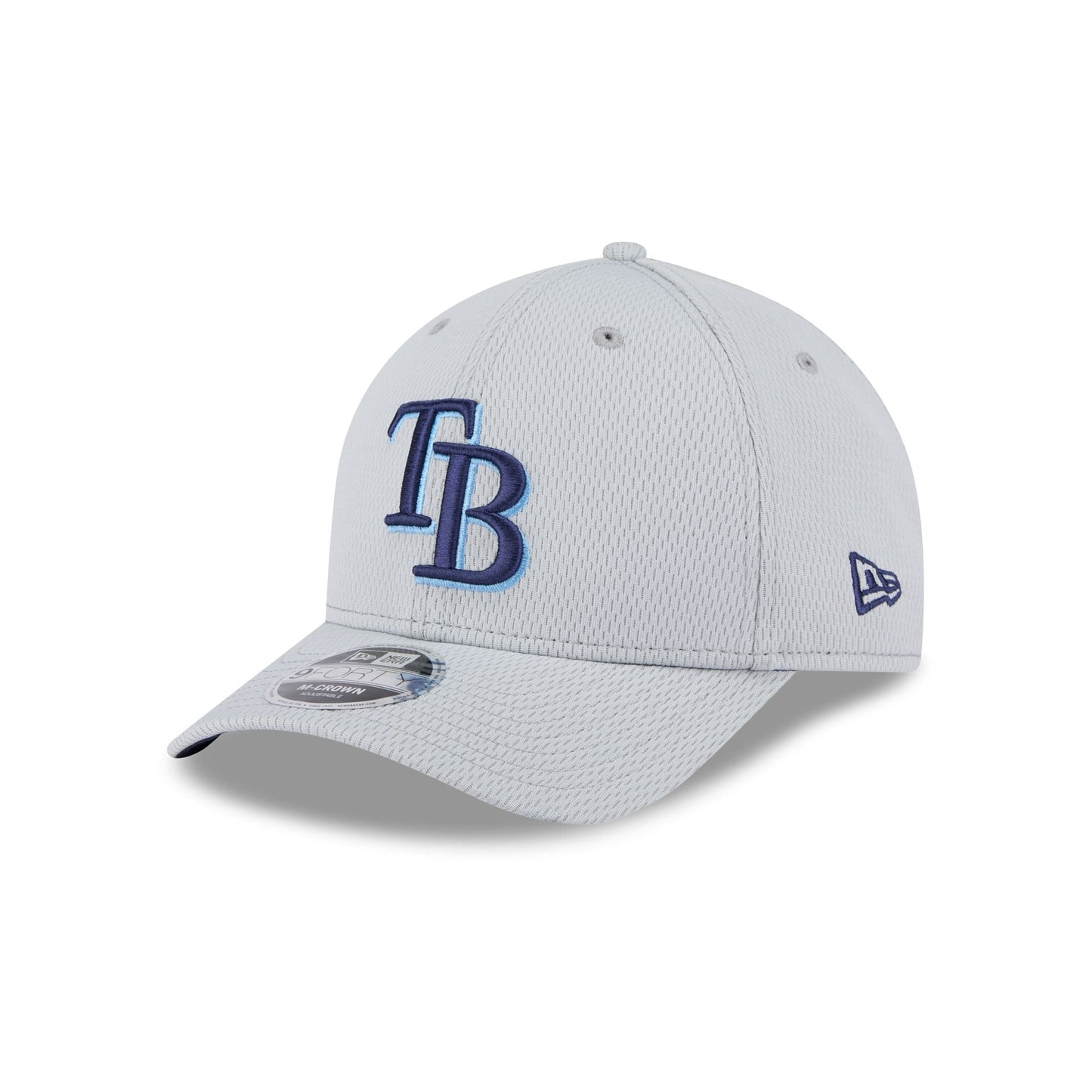 Tampa Bay Rays 2025 Clubhouse Gray 9FORTY M-Crown Snapback Hat