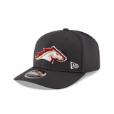 Birmingham Stallions Gray 9SEVENTY Stretch-Snap Hat
