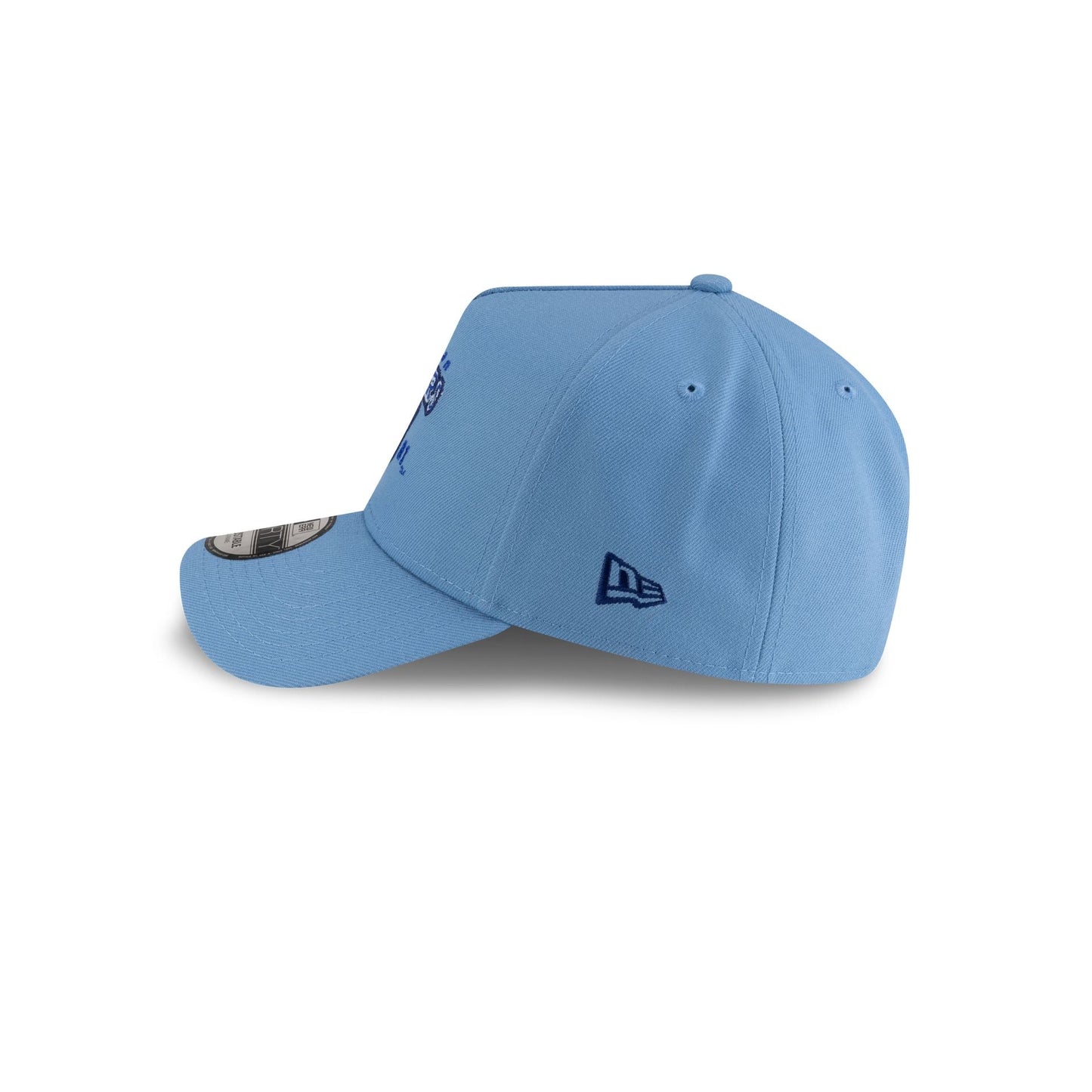 Spelman Jaguars 9FORTY A-Frame Snapback Hat