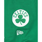 Boston Celtics Team Color Logo Select Hoodie
