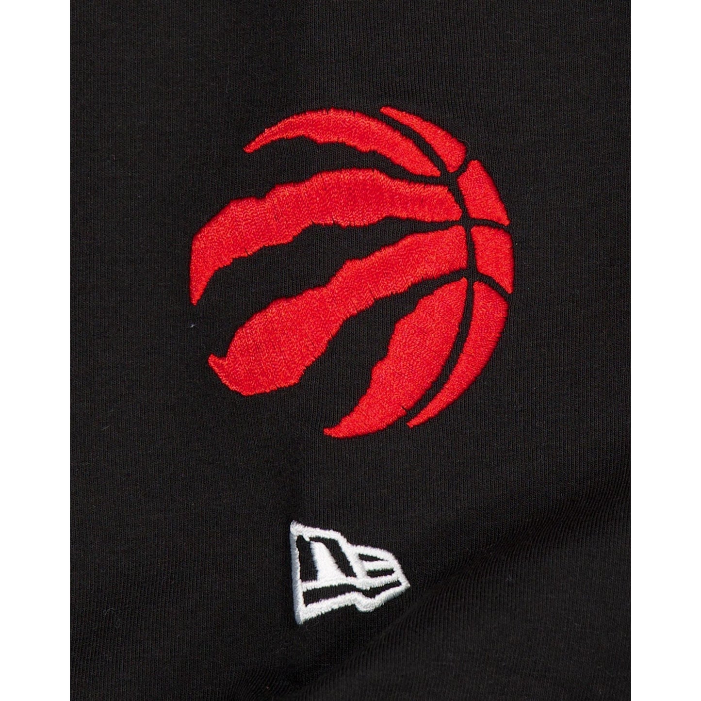 Toronto Raptors Team Color Logo Select Hoodie