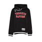 Toronto Raptors Team Color Logo Select Hoodie
