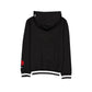 Toronto Raptors Team Color Logo Select Hoodie