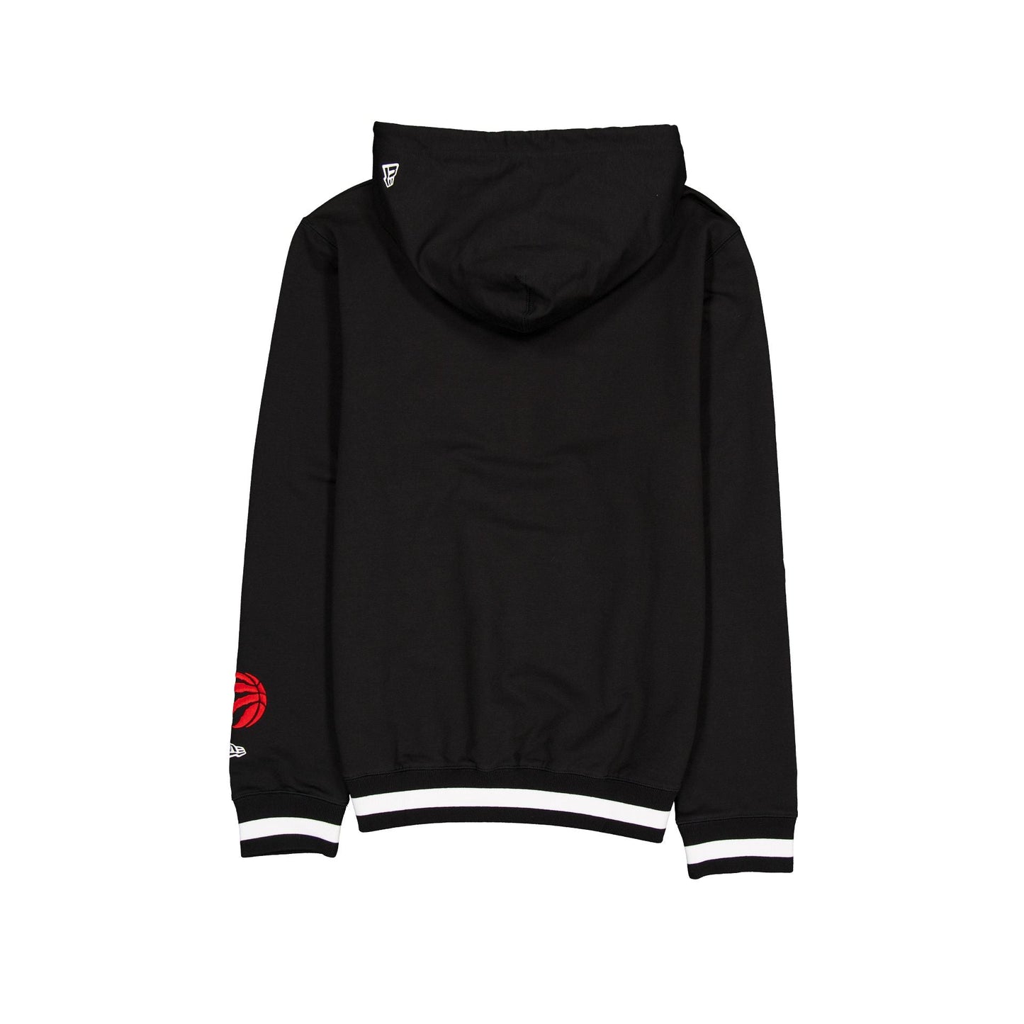 Toronto Raptors Team Color Logo Select Hoodie