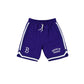 Brooklyn Dodgers Team Color Logo Select Shorts