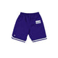 Brooklyn Dodgers Team Color Logo Select Shorts