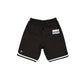 Toronto Raptors Team Color Logo Select Shorts