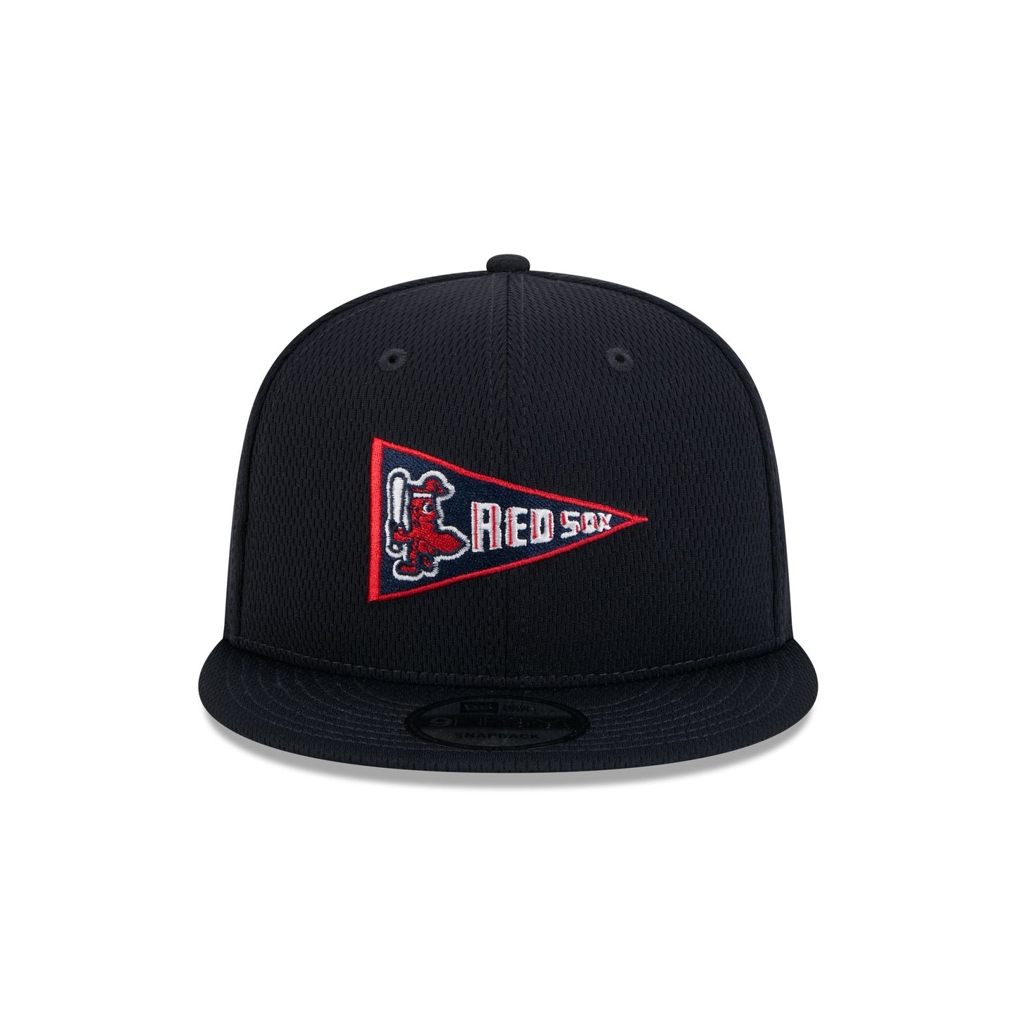 Boston Red Sox 2025 Clubhouse Alt 9FIFTY Snapback Hat