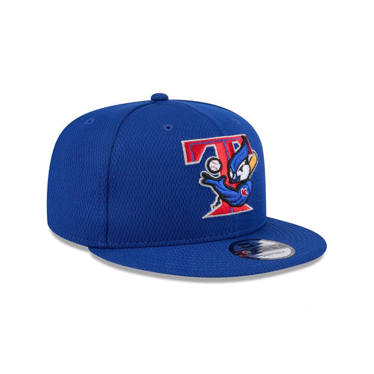 Toronto Blue Jays 2025 Clubhouse Alt 9FIFTY Snapback Hat