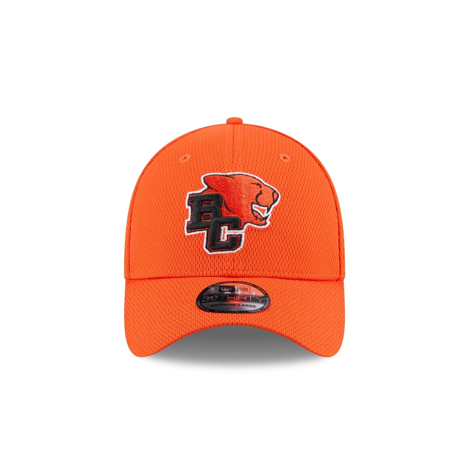 BC Lions Rear Wordmark 39THIRTY Stretch Fit Hat