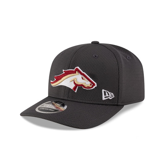 Birmingham Stallions Gray 9SEVENTY Stretch-Snap Hat