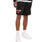Boston Celtics Mesh Shorts